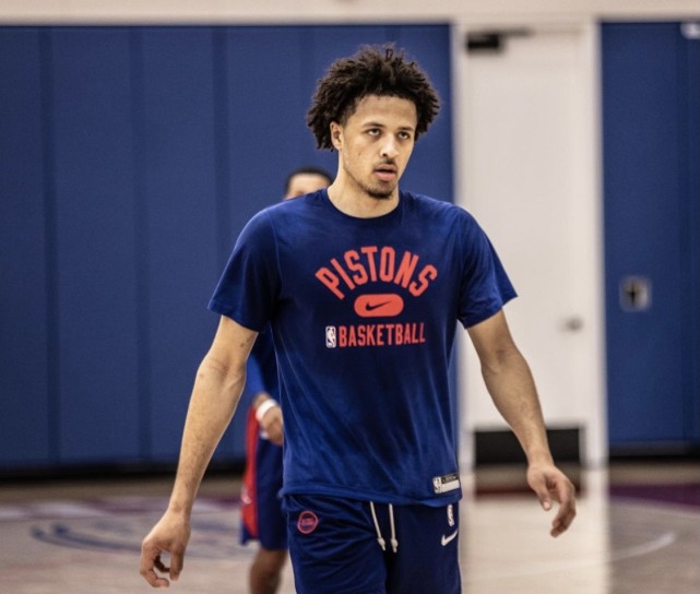 当年引入荷 当年引入荷