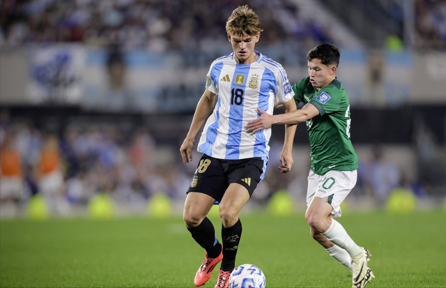 布朗独撑大 布朗独撑大