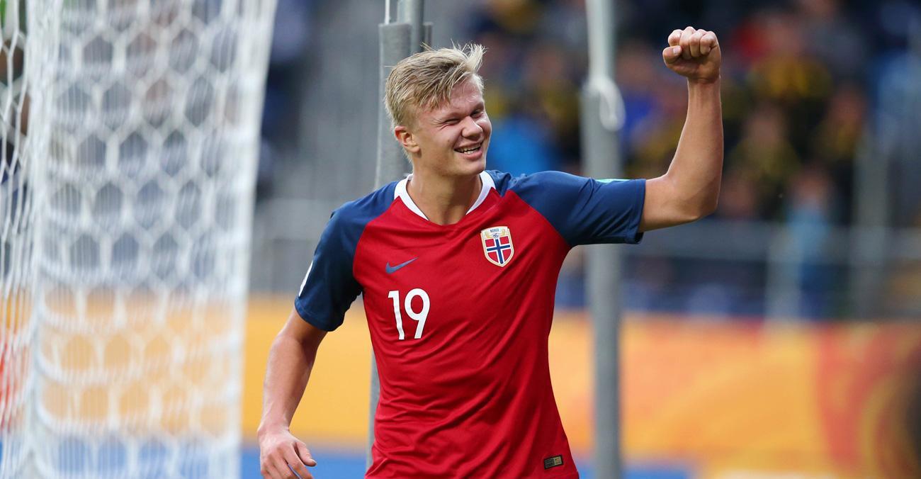 莱恩的职业 莱恩的职业